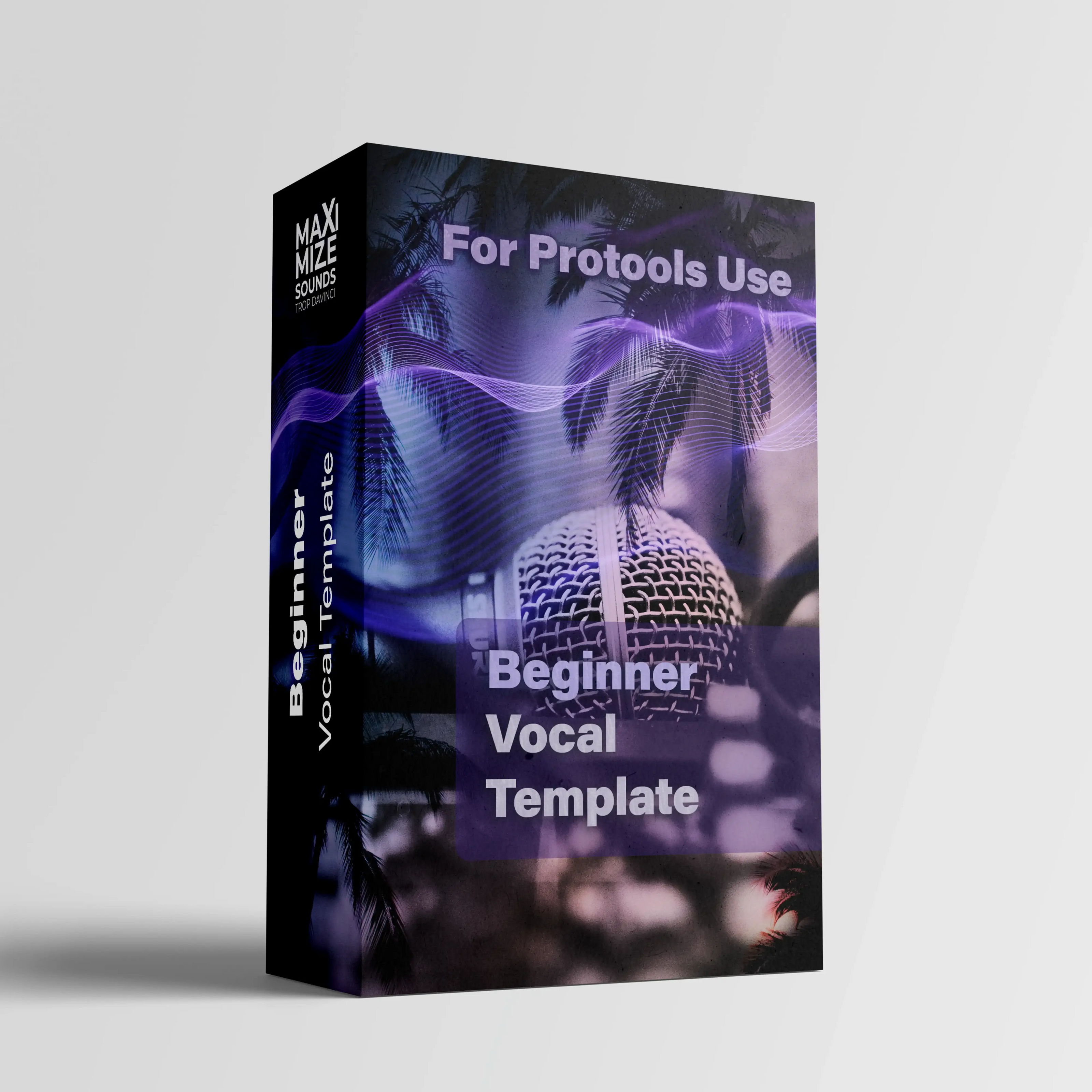 Beginner Vocal Template for Pro Tools - simple 5-track recording setup by Maximize Sounds